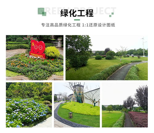杭州边坡绿化施工收费 园林绿化苗木基地直销