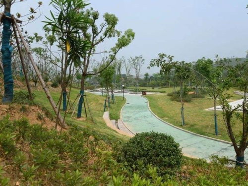 台州市园林绿化工程公司优秀企业推荐